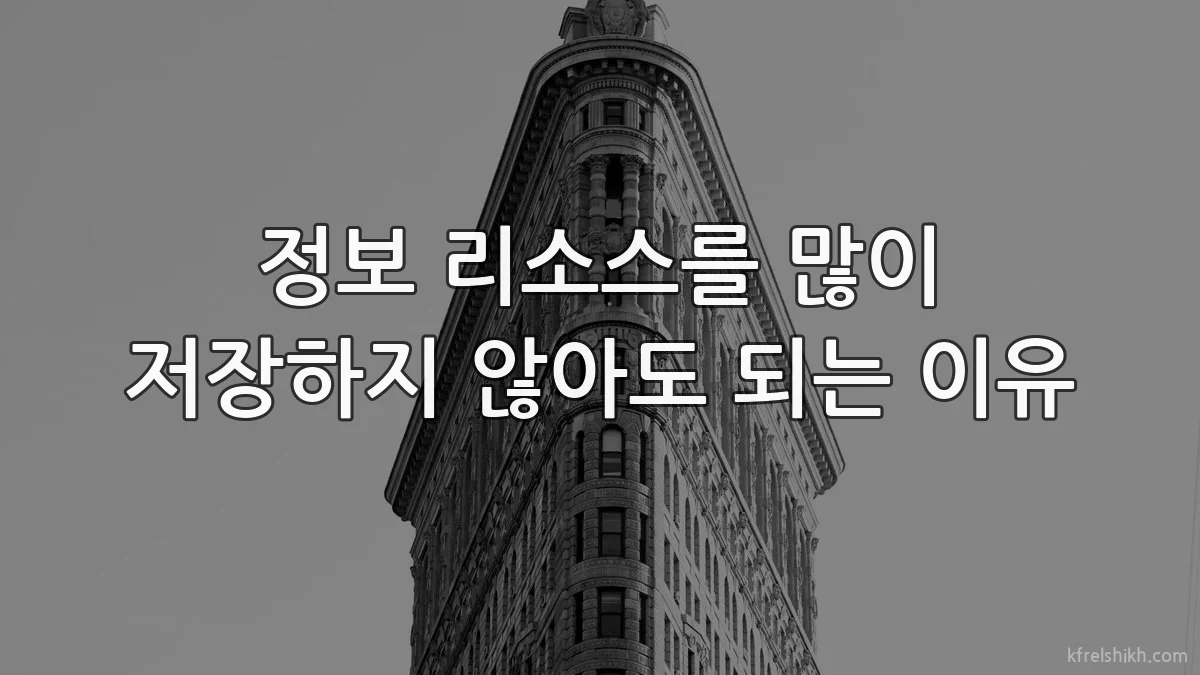정보 리소스를 많이 저장하지 않아도 되는 이유