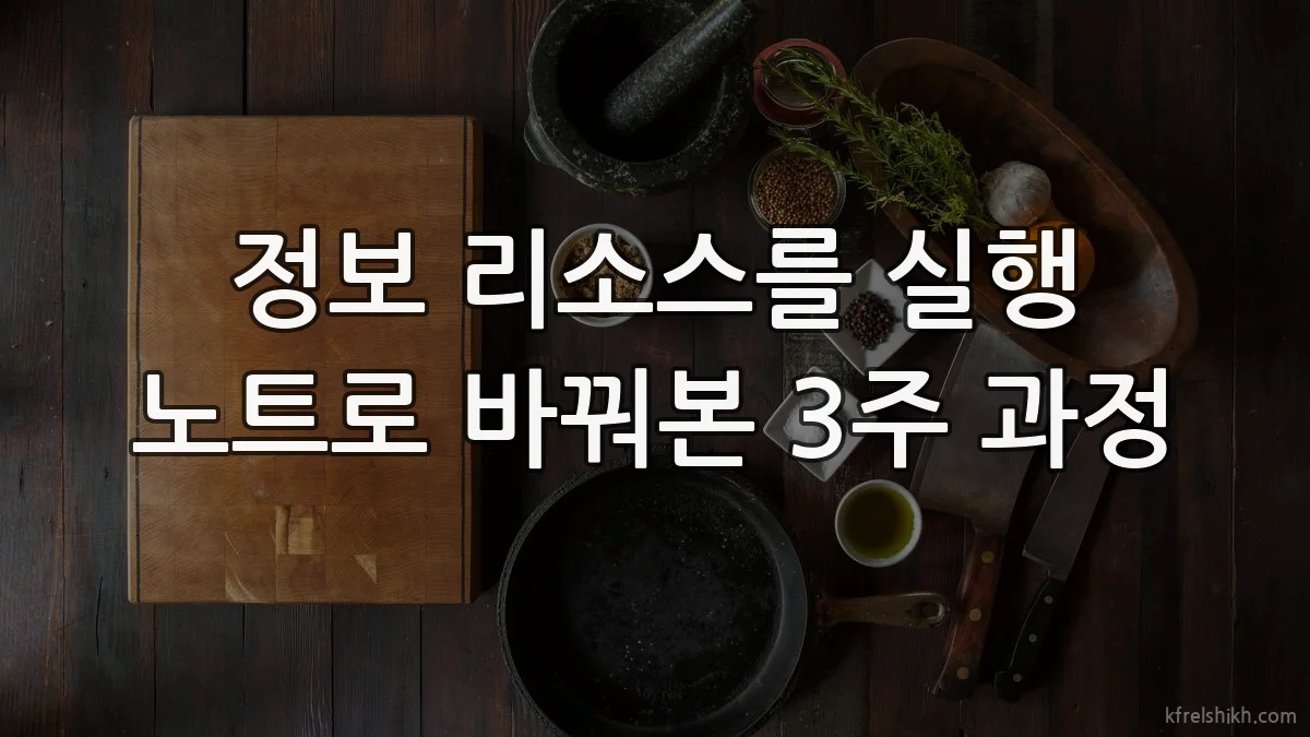 정보 리소스를 실행 노트로 바꿔본 3주 과정