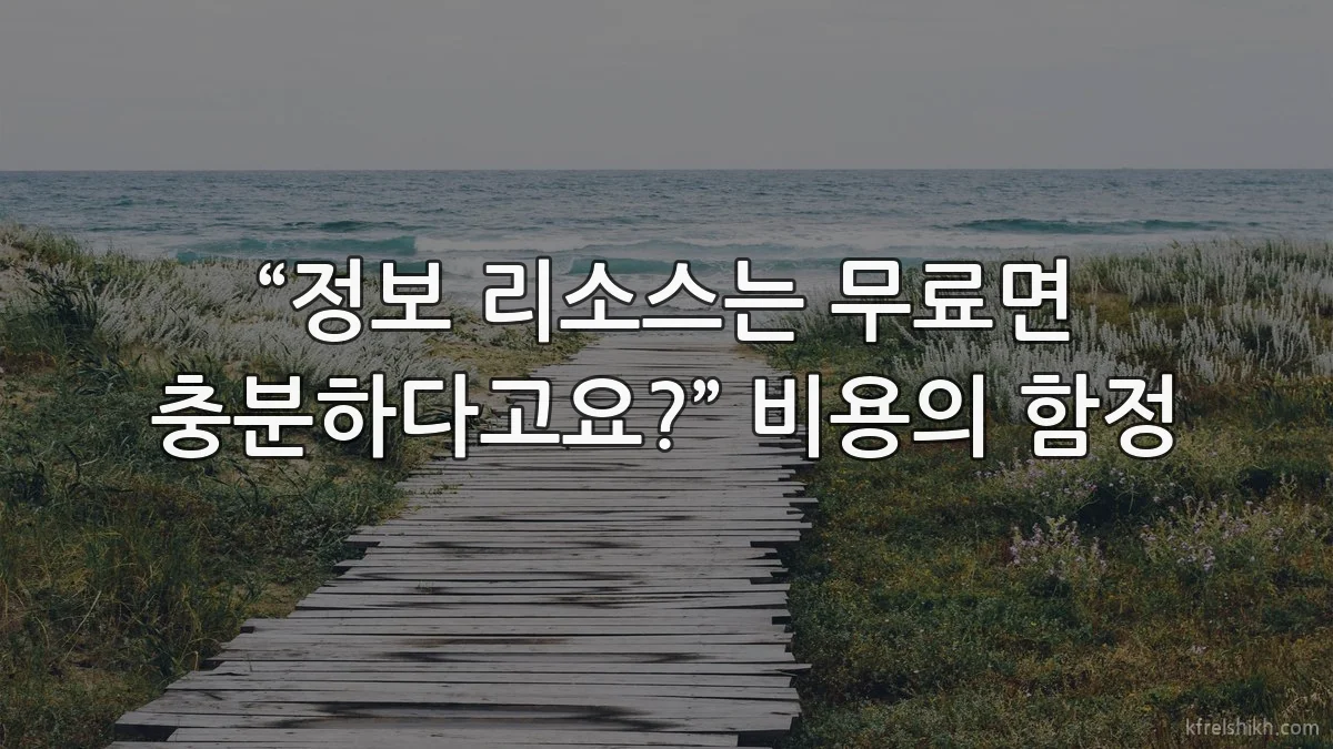 “정보 리소스는 무료면 충분하다고요?” 비용의 함정