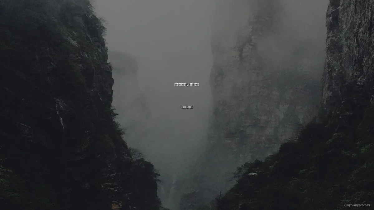 김포공항 면세점 vs 기내 면세품, 구매 전략 비교