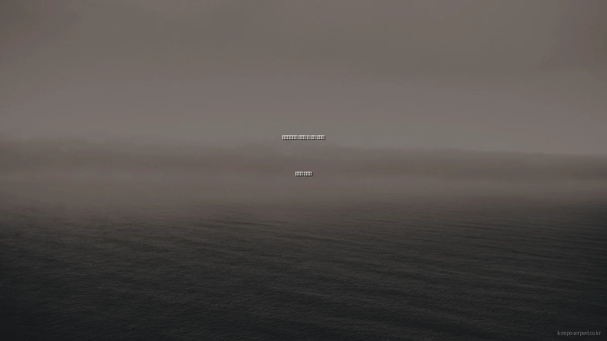 김포공항에서 발생할 수 있는 문제와 해결법 가이드