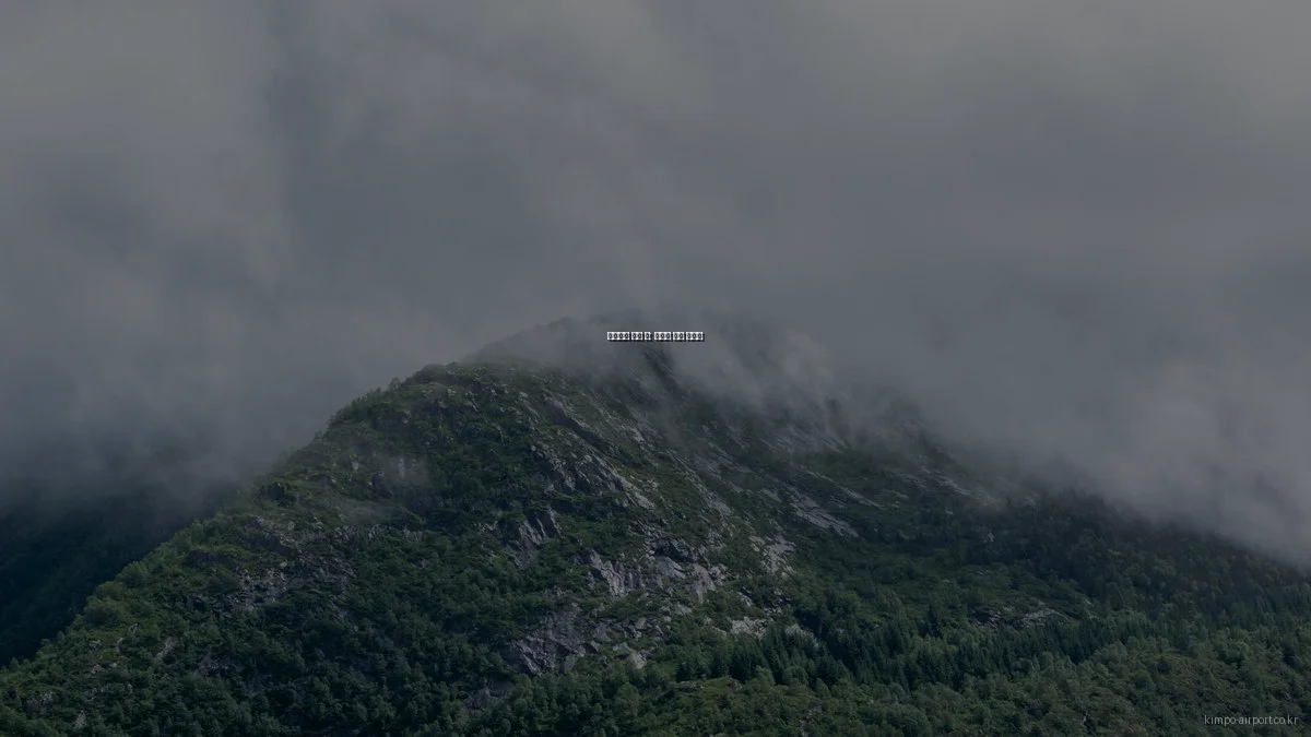 김포공항 숨은 팁: 효율적 이용 가이드