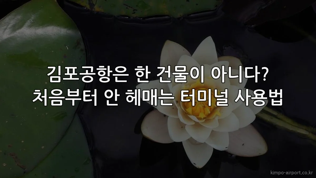 김포공항은 한 건물이 아니다? 처음부터 안 헤매는 터미널 사용법