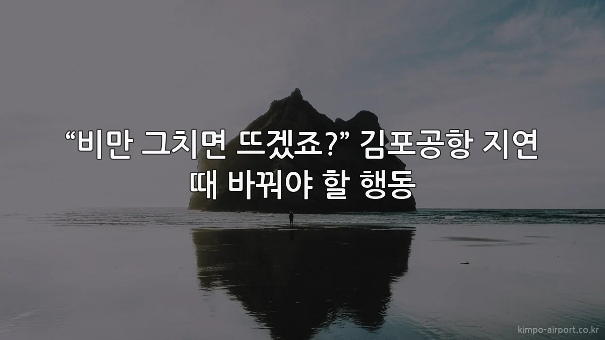 “비만 그치면 뜨겠죠?” 김포공항 지연 때 바꿔야 할 행동