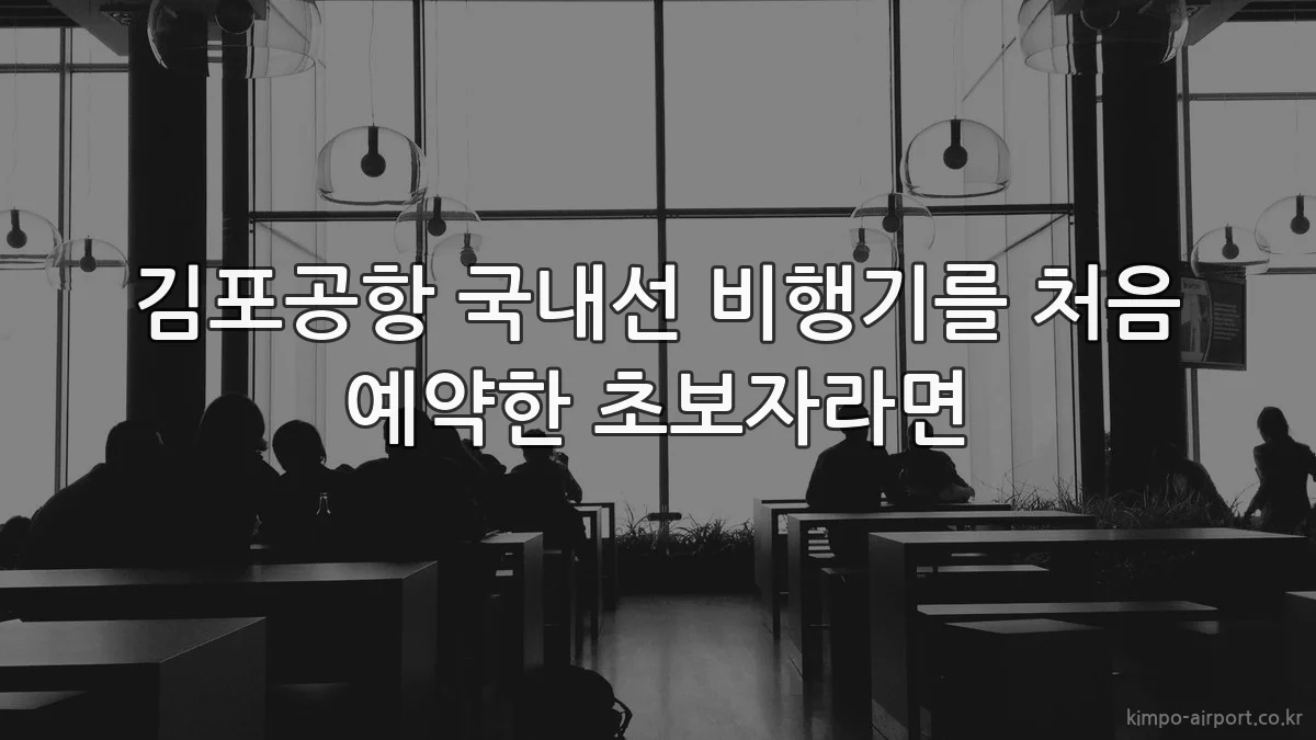 김포공항 국내선 비행기를 처음 예약한 초보자라면