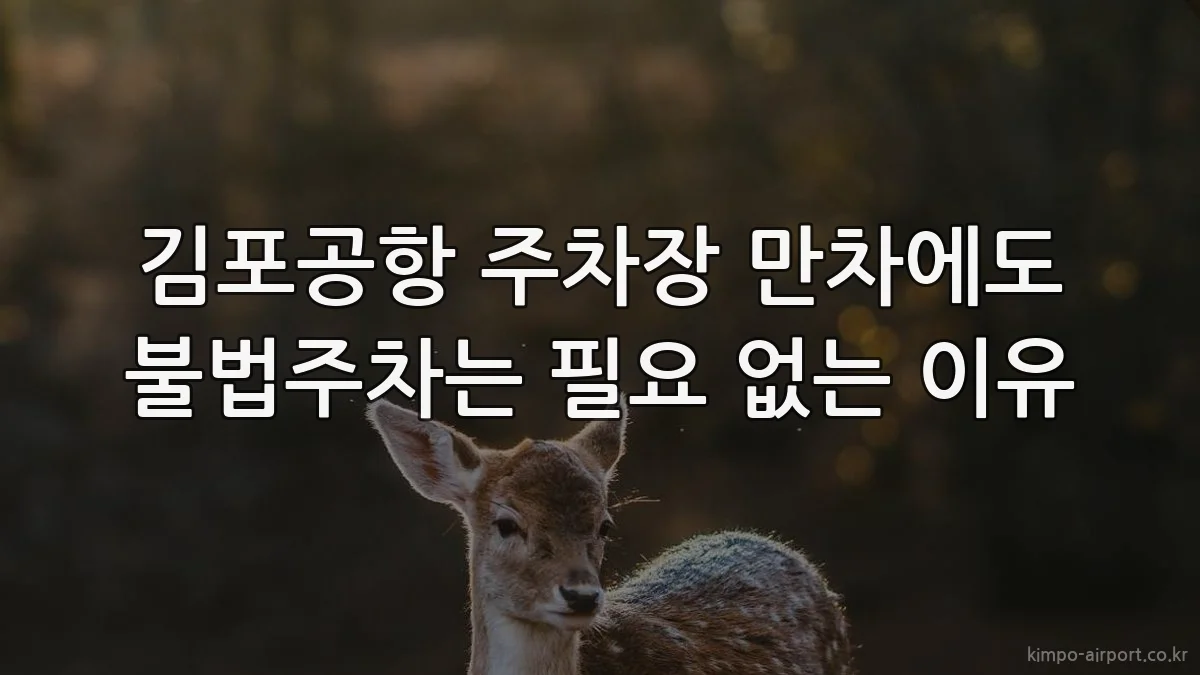 김포공항 주차장 만차에도 불법주차는 필요 없는 이유