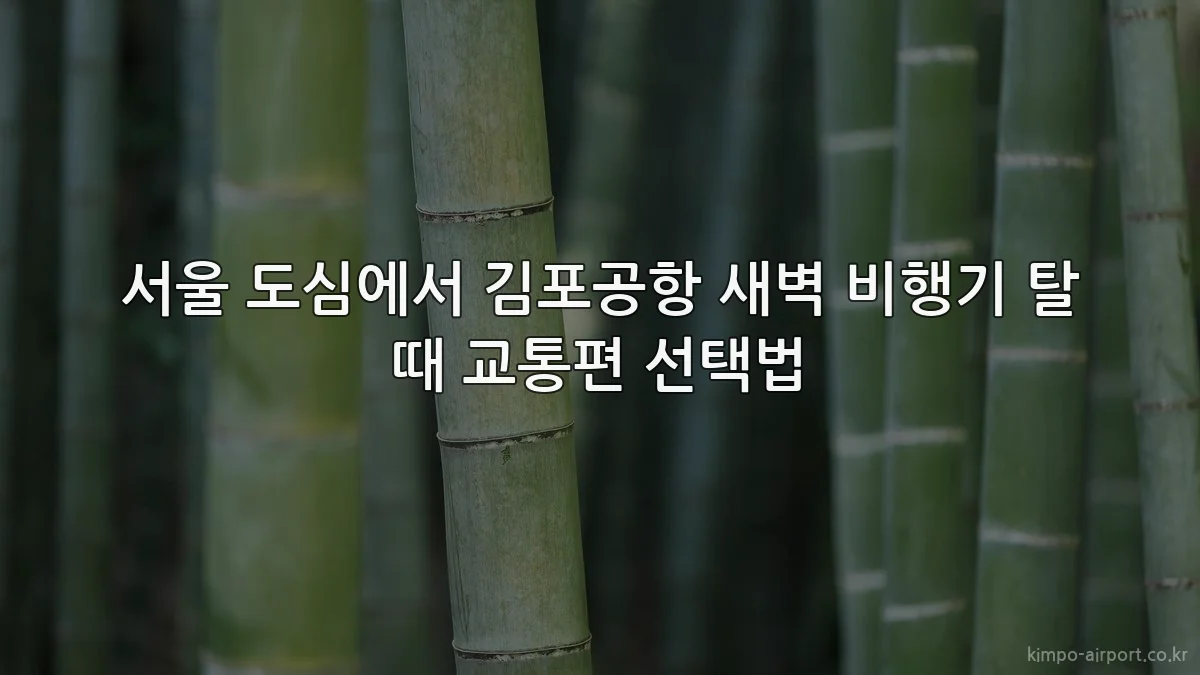 서울 도심에서 김포공항 새벽 비행기 탈 때 교통편 선택법