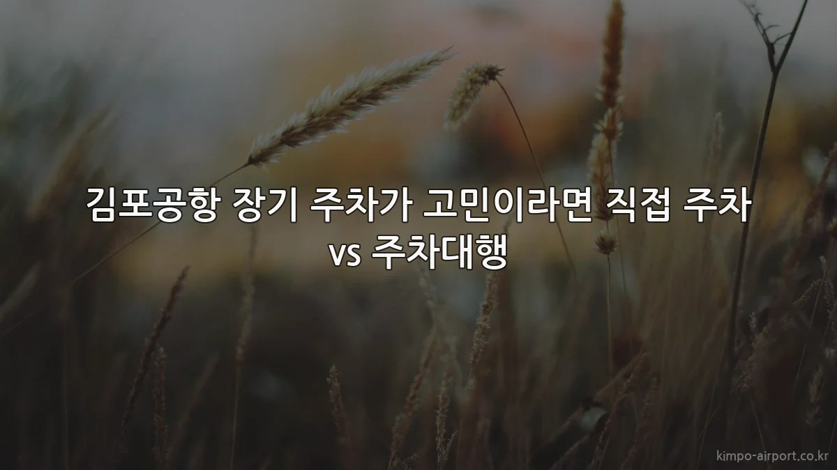 김포공항 장기 주차가 고민이라면 직접 주차 vs 주차대행