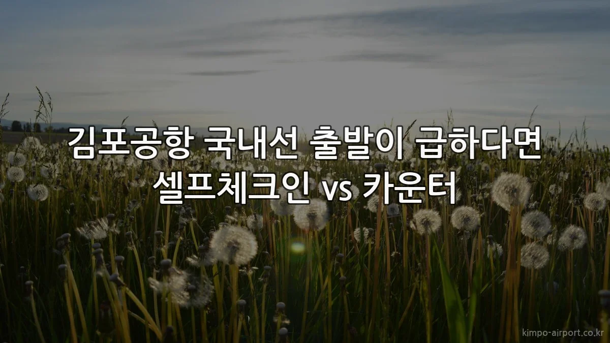김포공항 국내선 출발이 급하다면 셀프체크인 vs 카운터