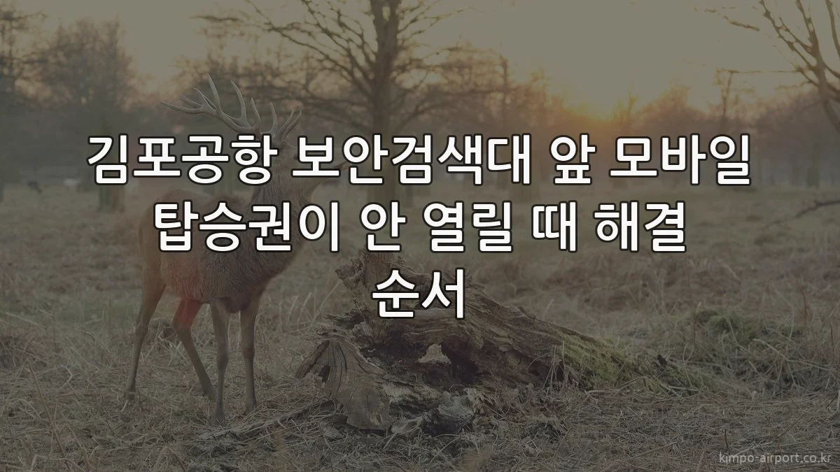 김포공항 보안검색대 앞 모바일 탑승권이 안 열릴 때 해결 순서