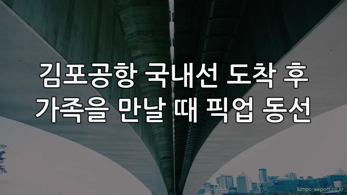 김포공항 국내선 도착 후 가족을 만날 때 픽업 동선