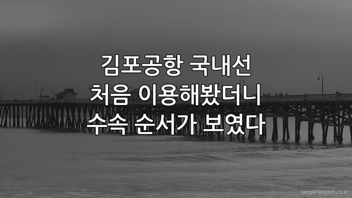 김포공항 국내선 처음 이용해봤더니 수속 순서가 보였다
