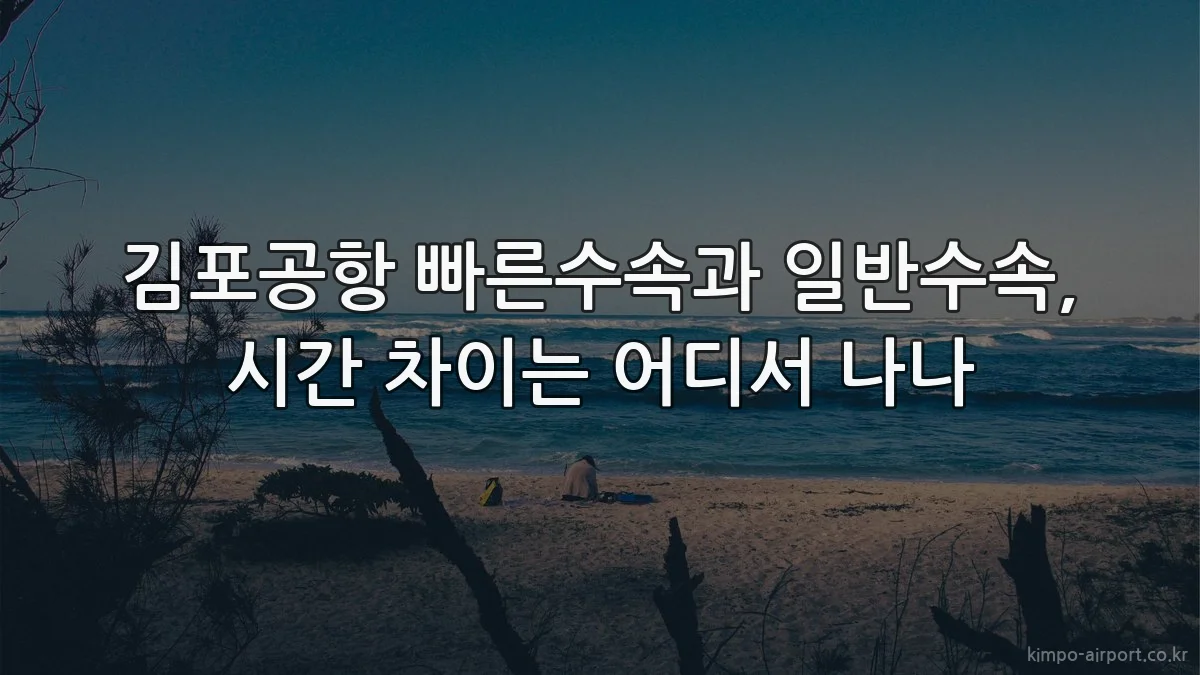 김포공항 빠른수속과 일반수속, 시간 차이는 어디서 나나