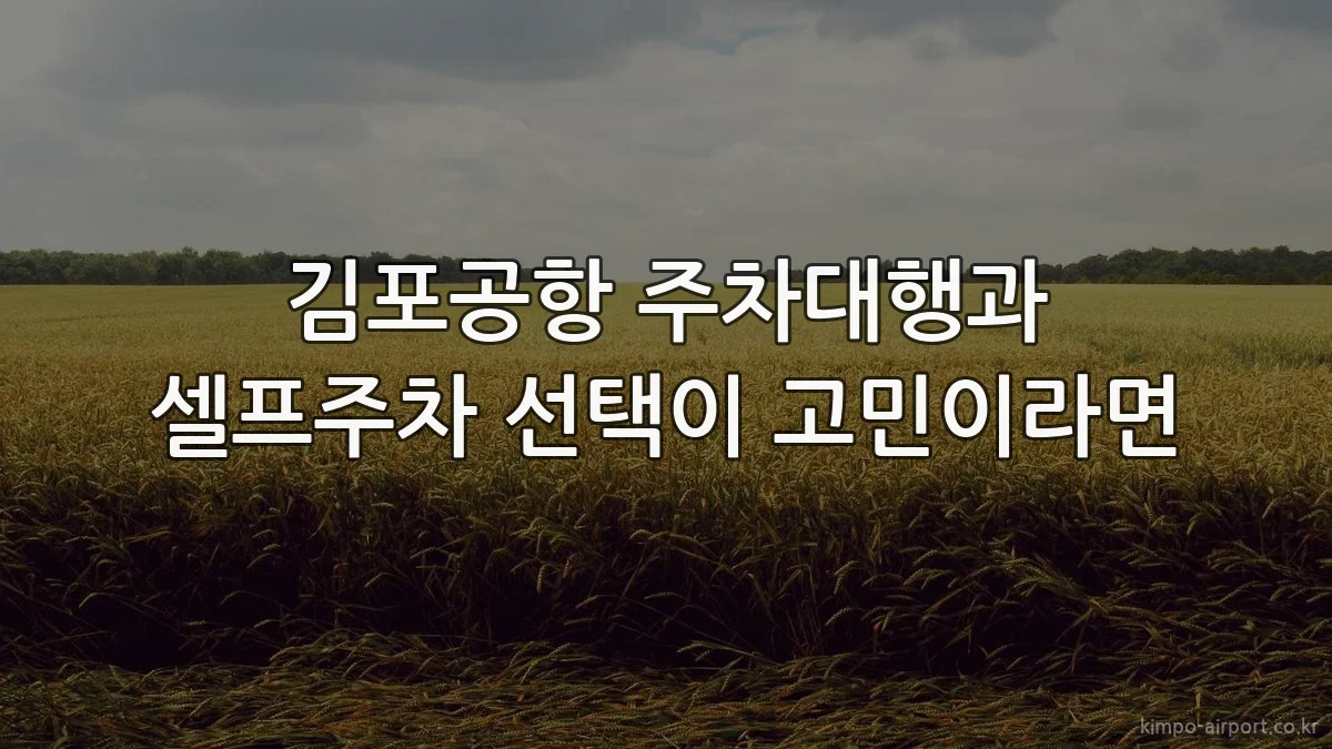 김포공항 주차대행과 셀프주차 선택이 고민이라면