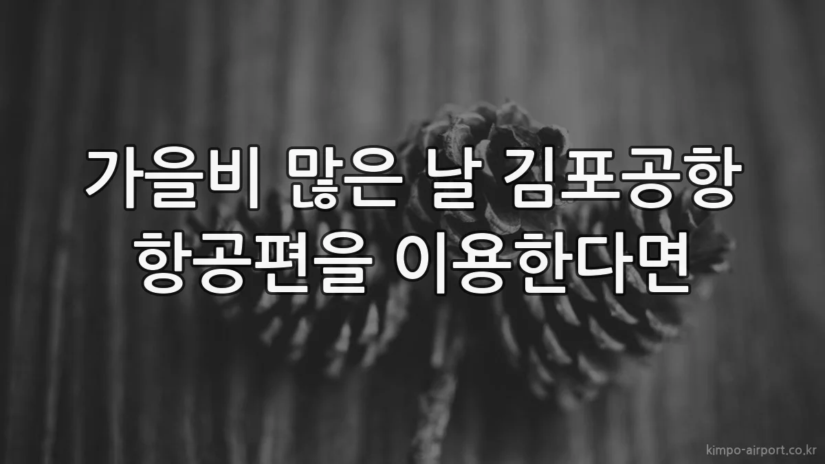 가을비 많은 날 김포공항 항공편을 이용한다면