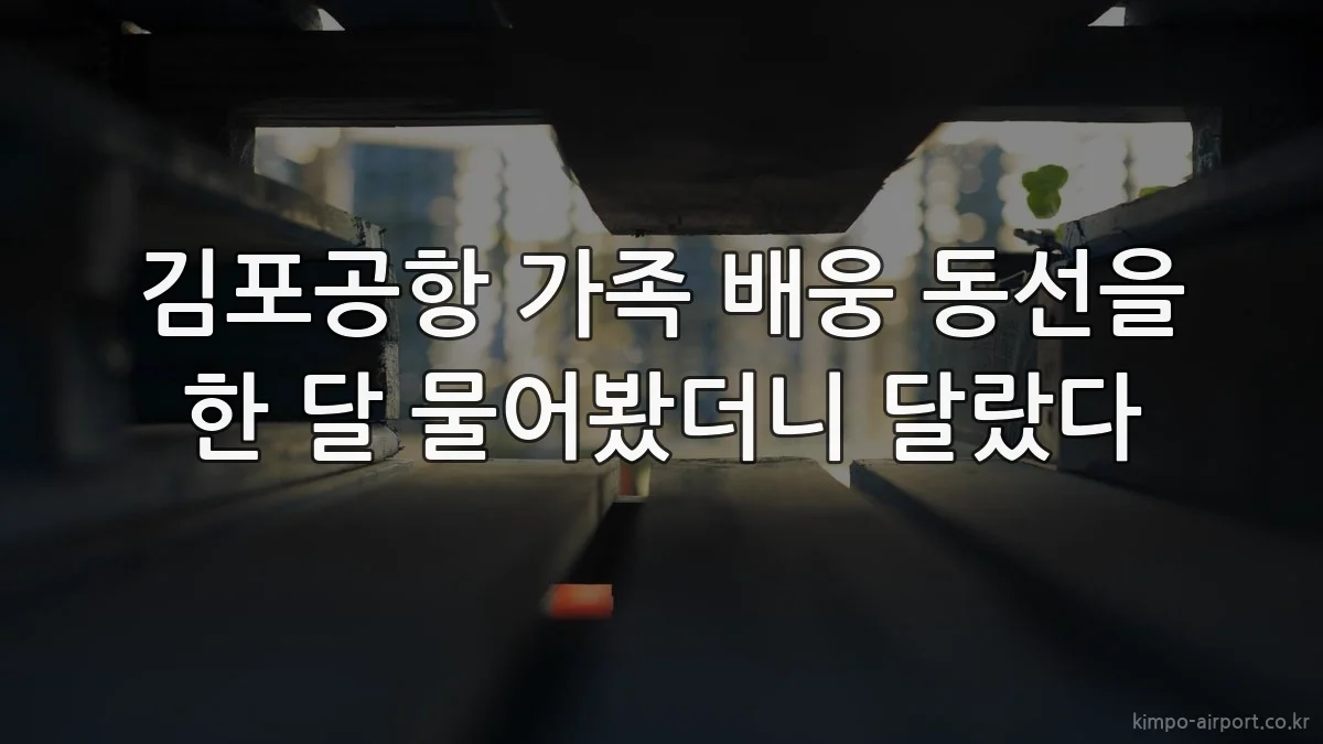 김포공항 가족 배웅 동선을 한 달 물어봤더니 달랐다