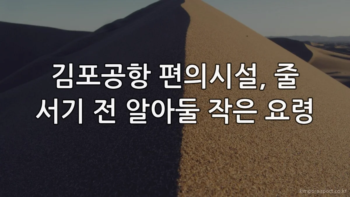 김포공항 편의시설, 줄 서기 전 알아둘 작은 요령