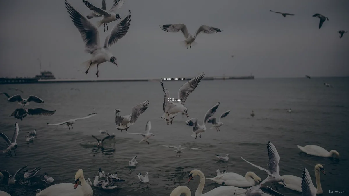 예산별 리빙 소품 추천 총정리: 2026년 가이드