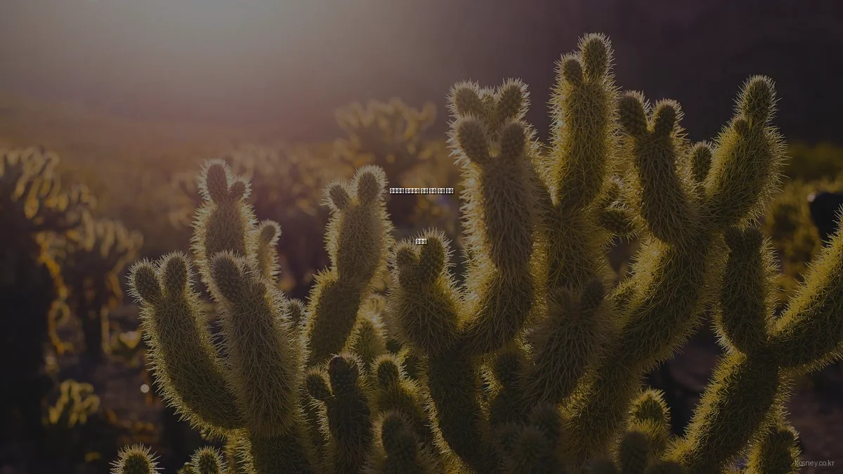 인테리어 초보자를 위한 리빙 소품 선택 가이드