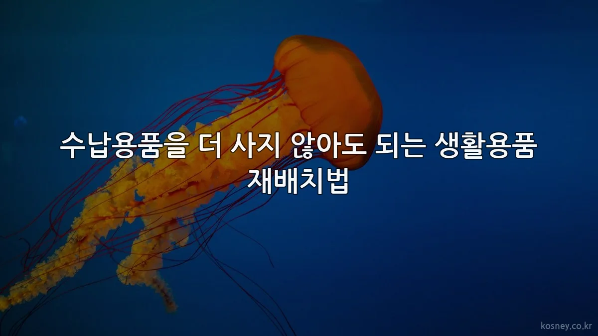 수납용품을 더 사지 않아도 되는 생활용품 재배치법