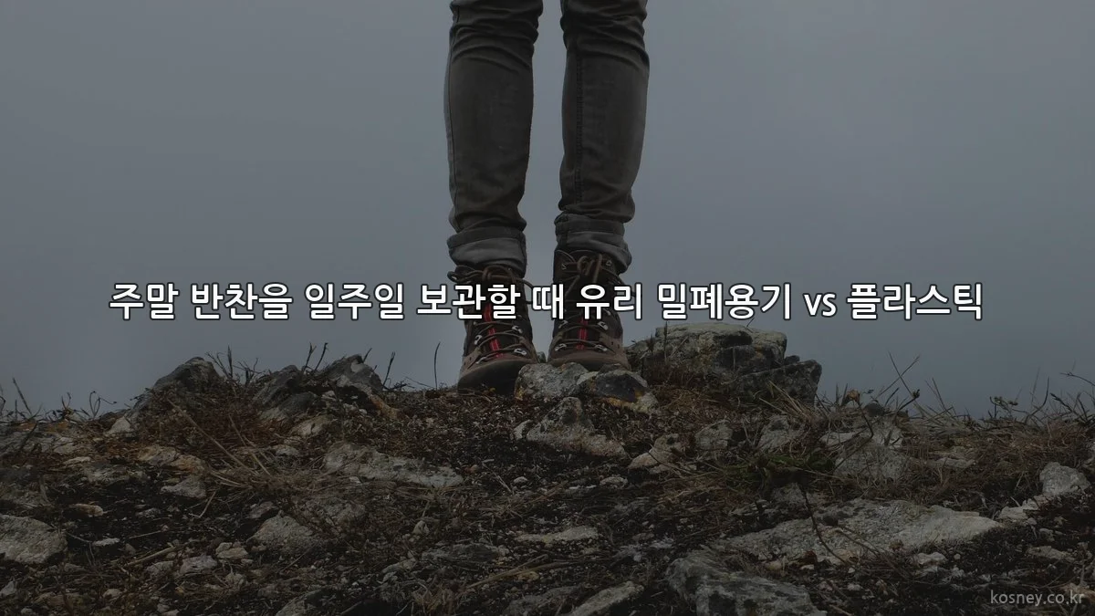 주말 반찬을 일주일 보관할 때 유리 밀폐용기 vs 플라스틱