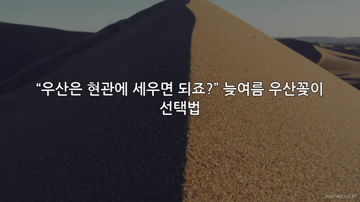 “우산은 현관에 세우면 되죠?” 늦여름 우산꽂이 선택법