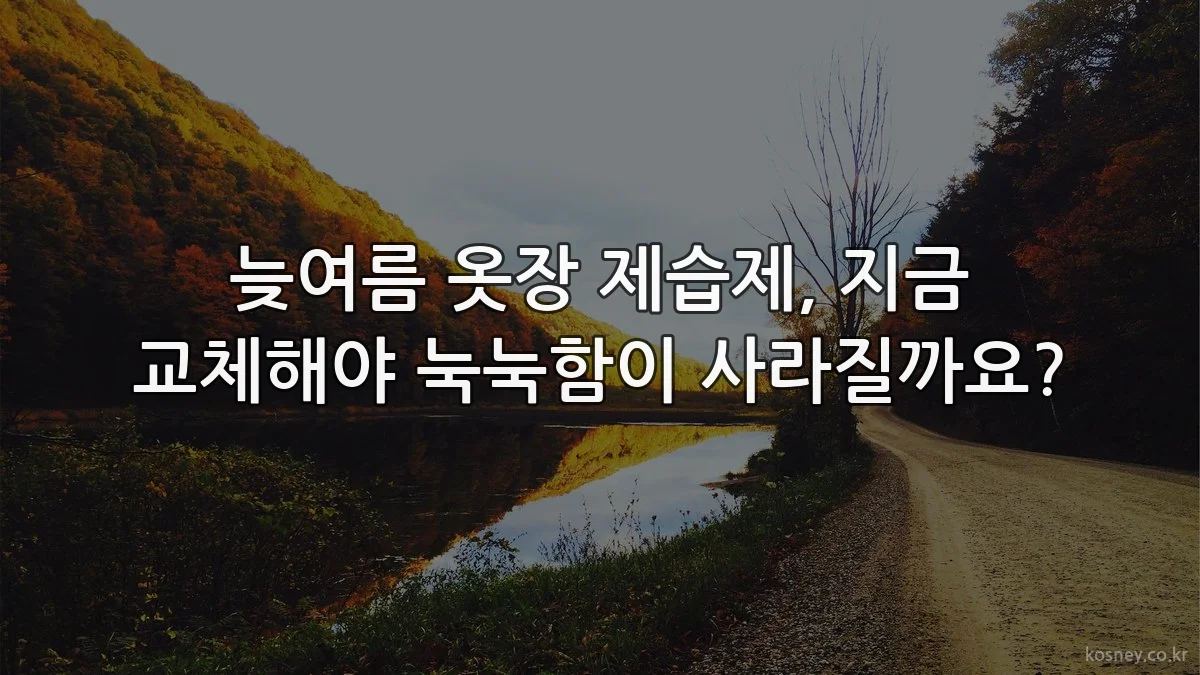 늦여름 옷장 제습제, 지금 교체해야 눅눅함이 사라질까요?