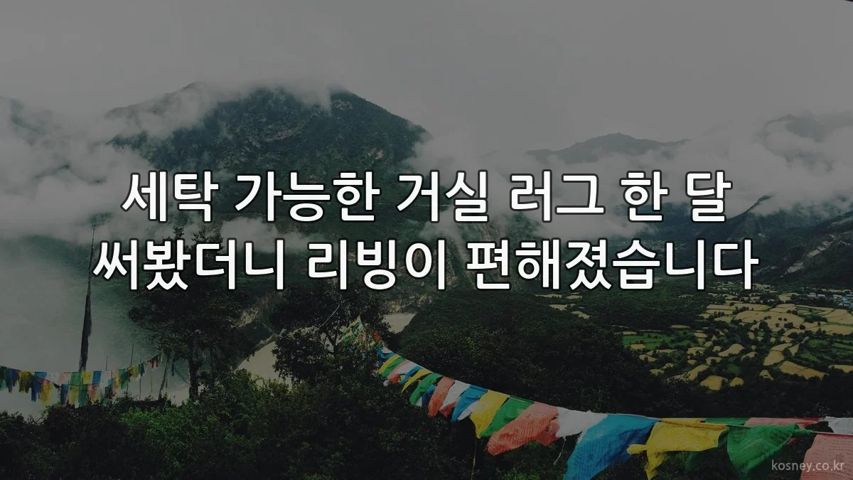 세탁 가능한 거실 러그 한 달 써봤더니 리빙이 편해졌습니다