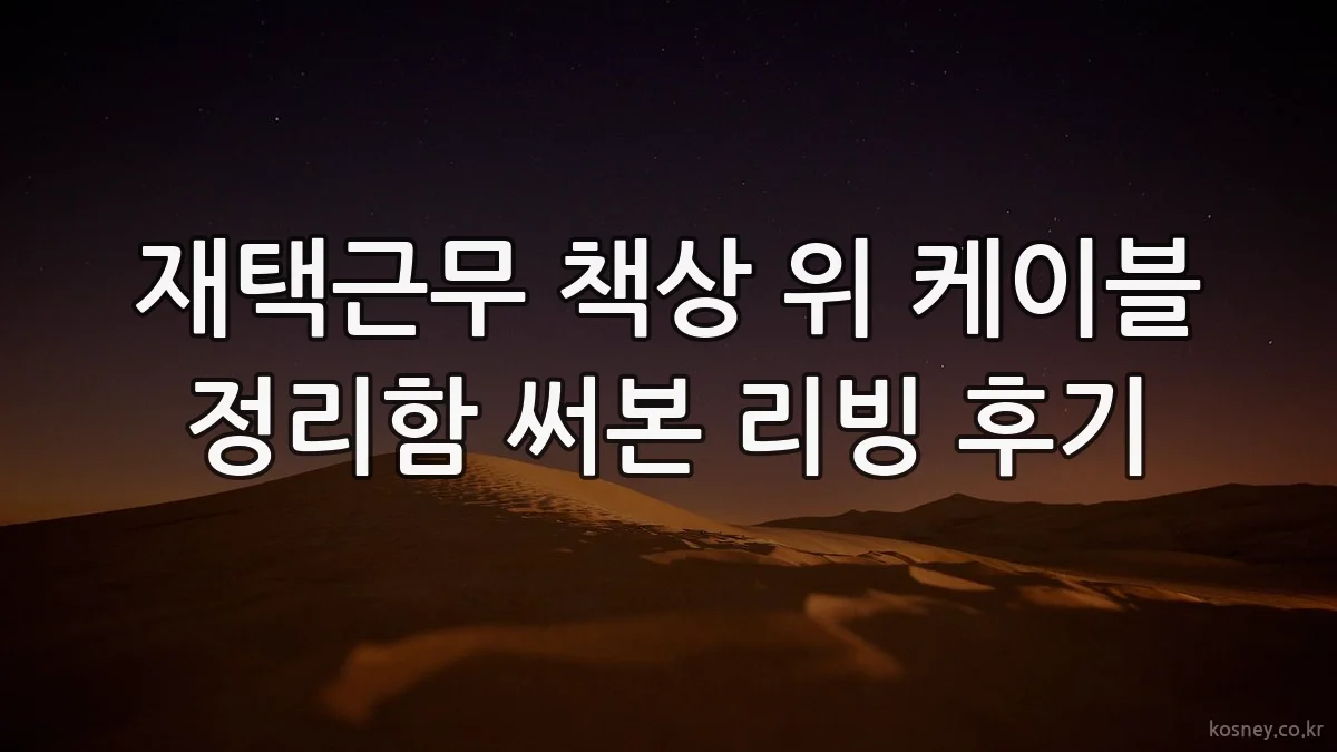 재택근무 책상 위 케이블 정리함 써본 리빙 후기
