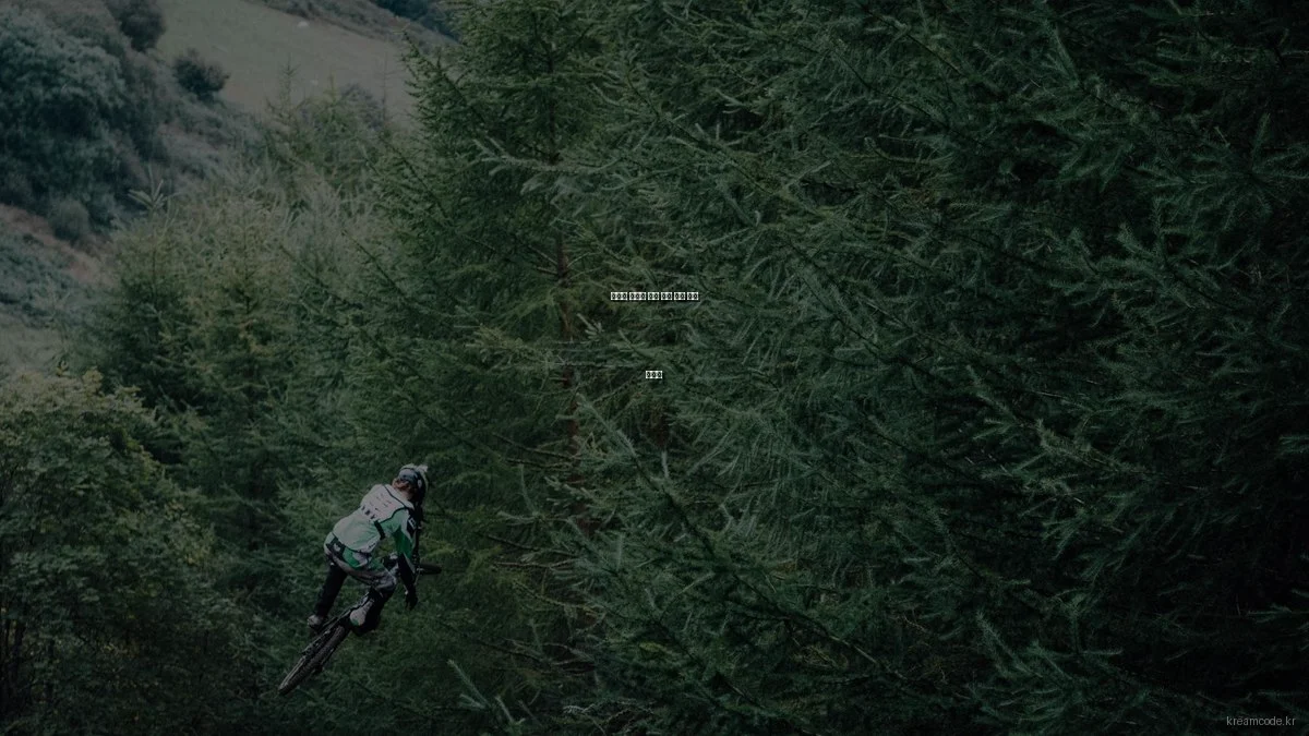 예산별 최고의 코딩 학습 도구 추천 가이드