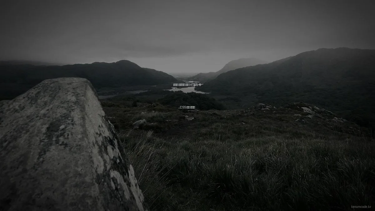 웹개발 입문자를 위한 HTML & CSS 완벽 가이드