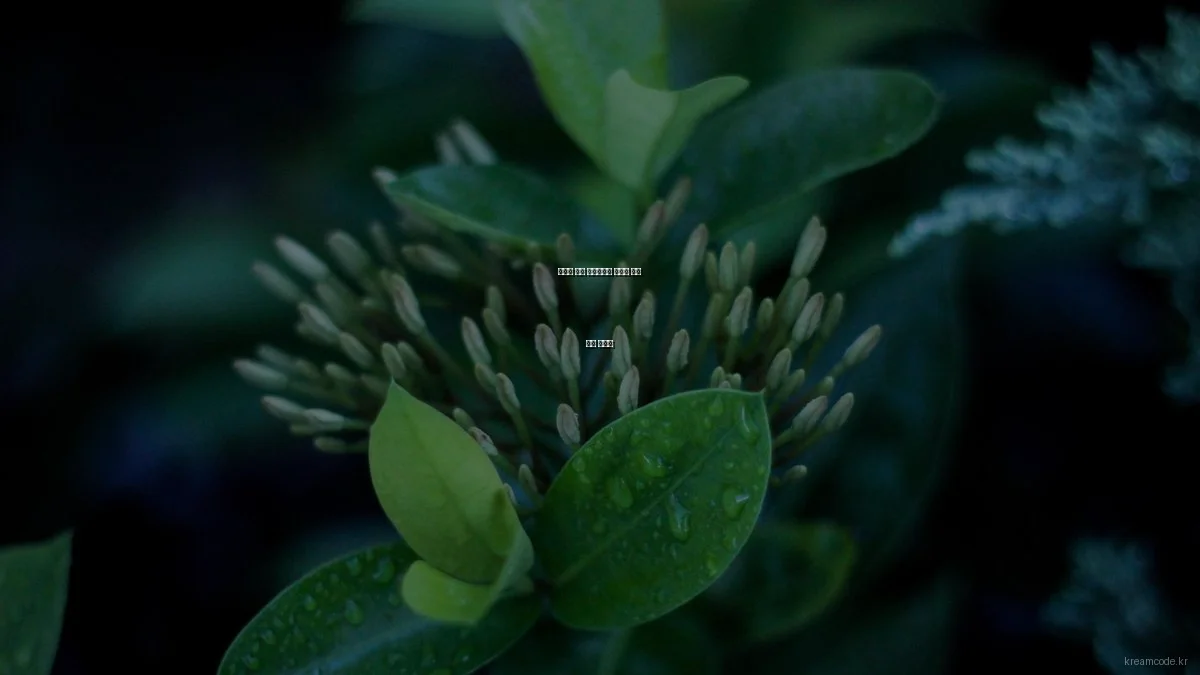 백엔드 개발 전문가에게 배우는 코딩 비법 인터뷰