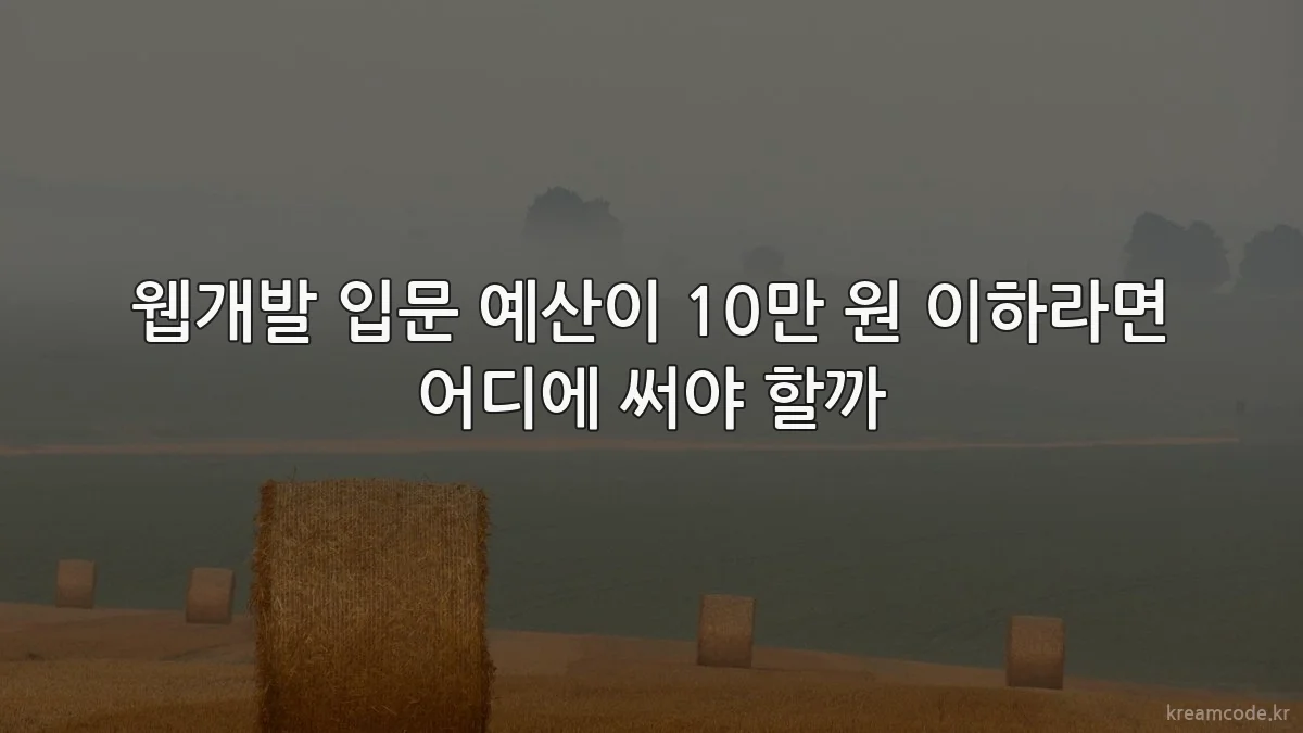 웹개발 입문 예산이 10만 원 이하라면 어디에 써야 할까