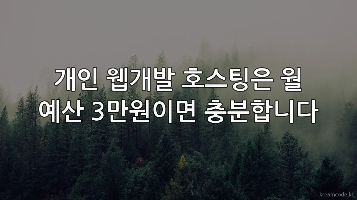 개인 웹개발 호스팅은 월 예산 3만원이면 충분합니다
