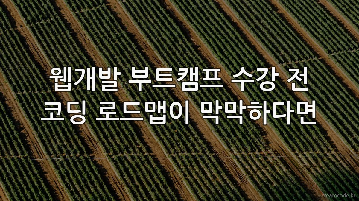웹개발 부트캠프 수강 전 코딩 로드맵이 막막하다면