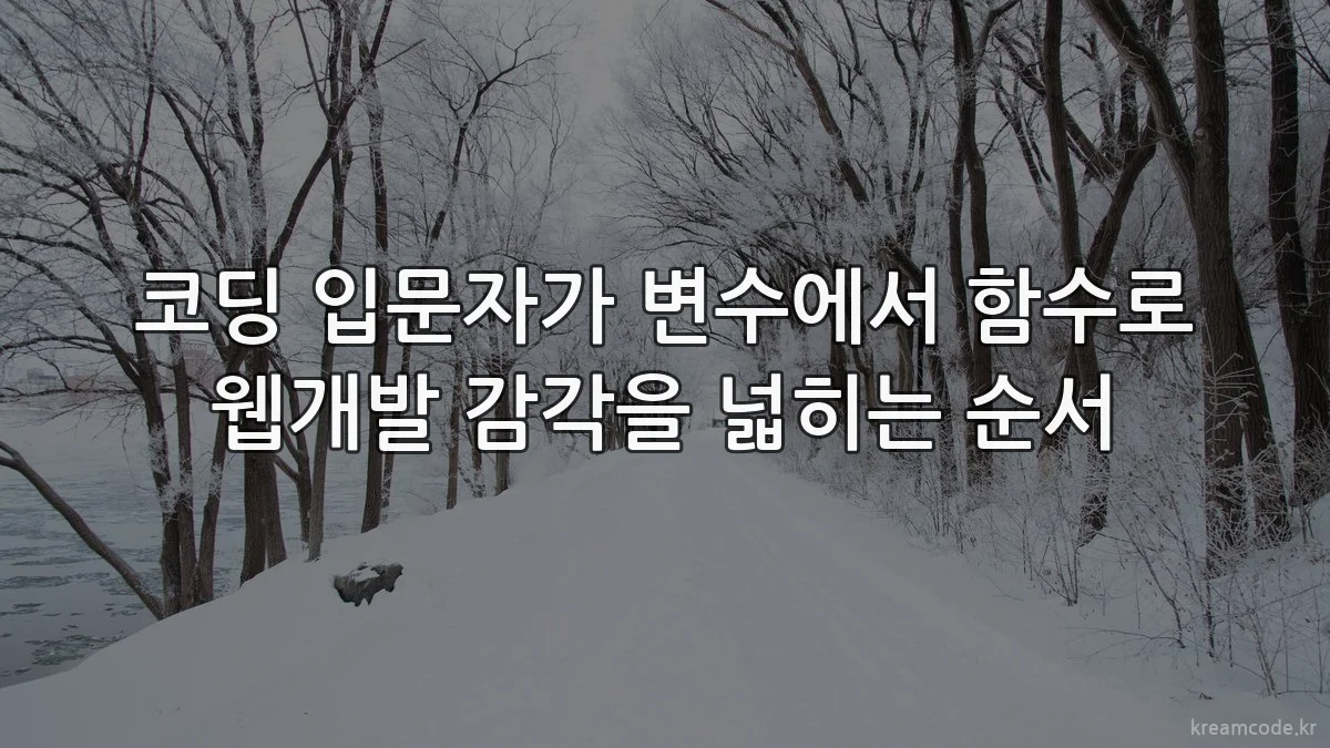 코딩 입문자가 변수에서 함수로 웹개발 감각을 넓히는 순서
