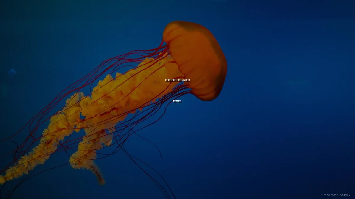 금호건설 아파트 분양가 vs 평면도 장단점 비교