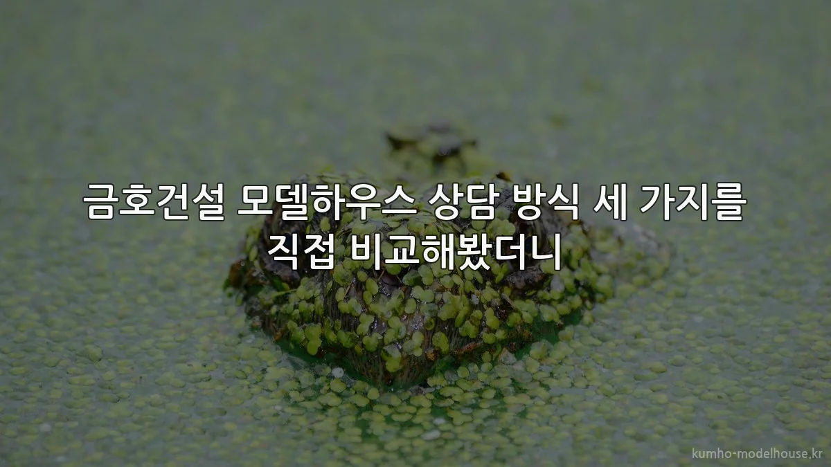 금호건설 모델하우스 상담 방식 세 가지를 직접 비교해봤더니