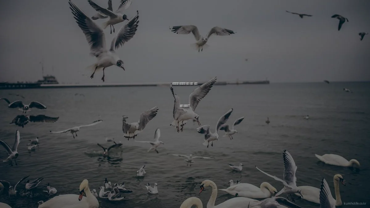 프리미엄 생명보험 상품 비교: 내게 맞는 선택은?