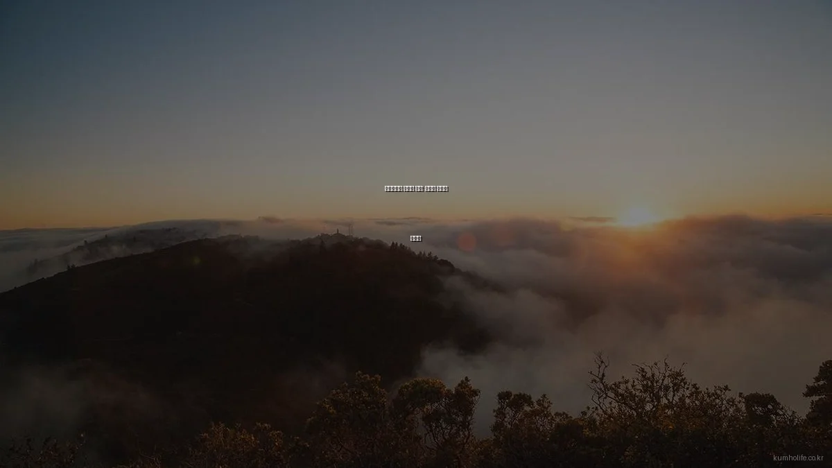 생명보험의 숨겨진 기능: 똑똑한 활용법 총정리