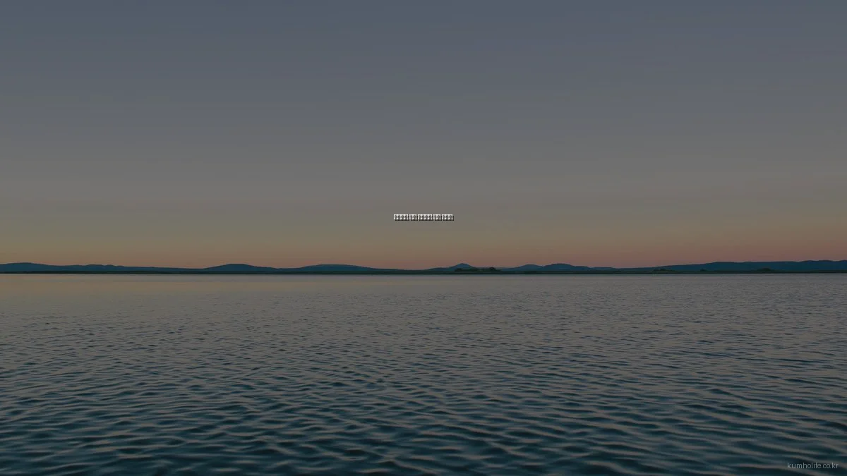 초보자를 위한 생명보험 기초 가이드