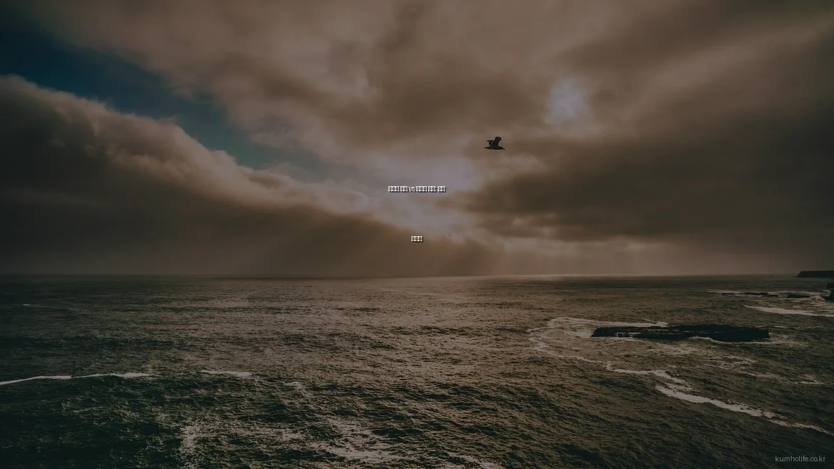 보장성 보험 vs 저축성 보험: 선택 가이드