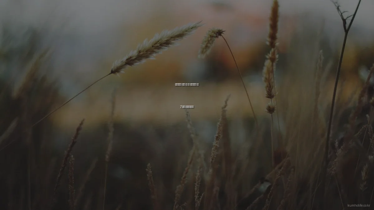 생명보험 가입 전 꼭 확인해야 할 7가지 체크리스트