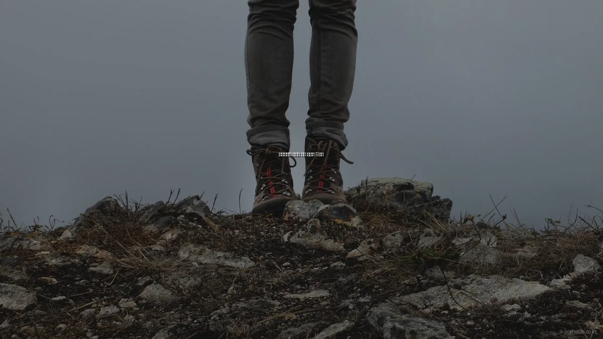 생명보험의 숨겨진 혜택 활용법 5가지