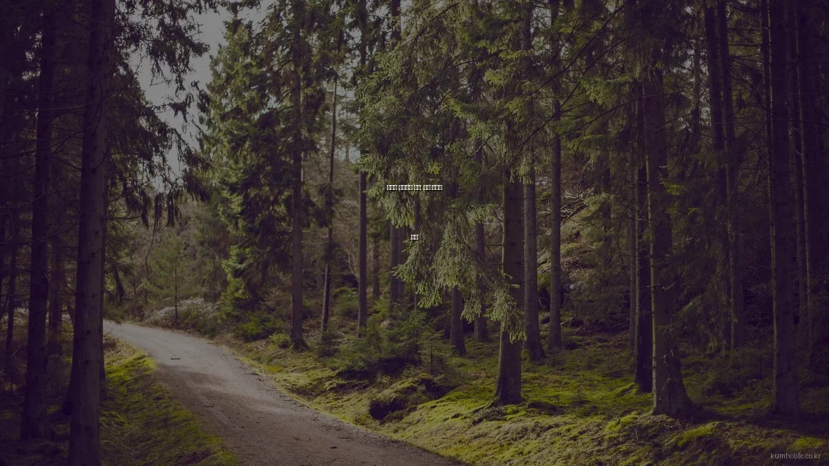 숨겨진 생명보험 꿀팁: 혜택 최대화 전략