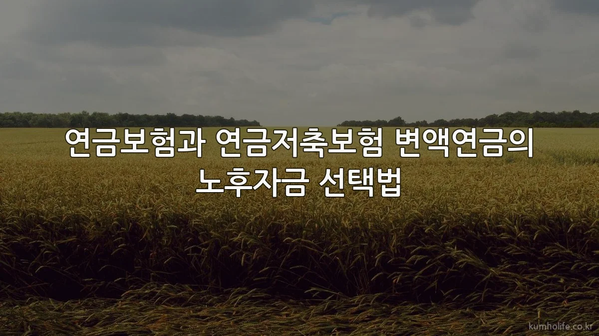 연금보험과 연금저축보험 변액연금의 노후자금 선택법