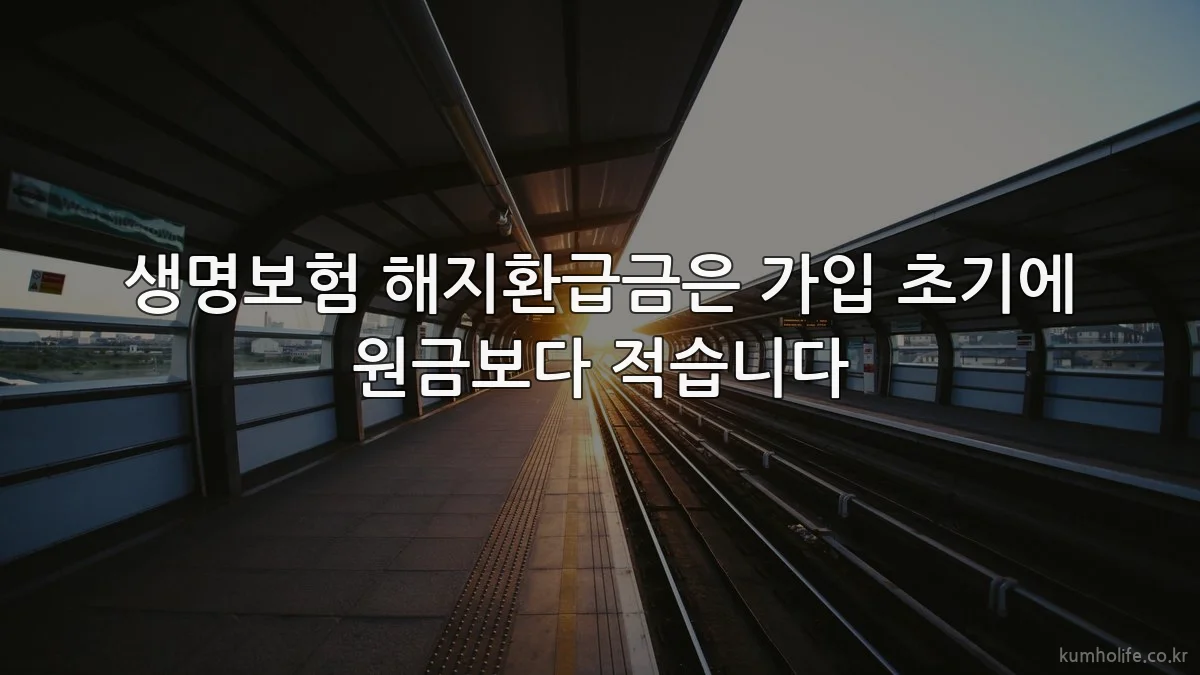 생명보험 해지환급금은 가입 초기에 원금보다 적습니다