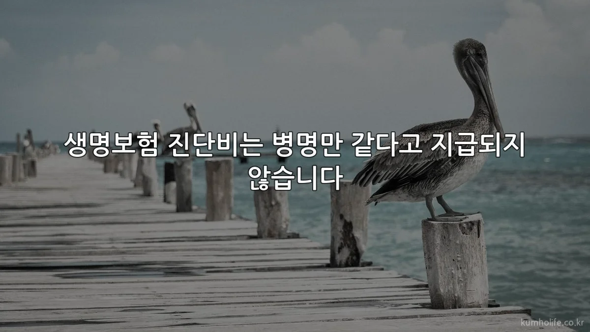 생명보험 진단비는 병명만 같다고 지급되지 않습니다
