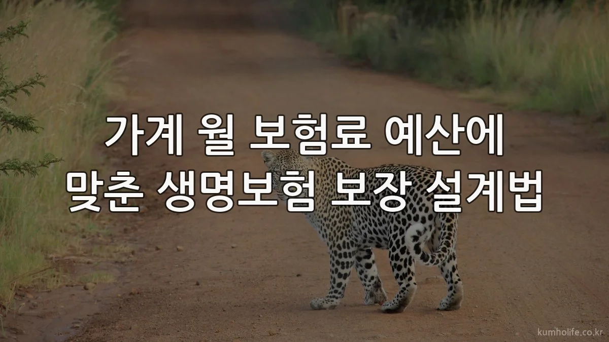 가계 월 보험료 예산에 맞춘 생명보험 보장 설계법