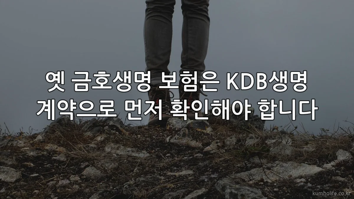 옛 금호생명 보험은 KDB생명 계약으로 먼저 확인해야 합니다